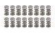 1.274 Drag Race Dual Valve Fits Spring Set 16pk