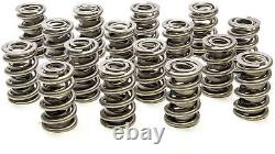 1.274 Drag Race Dual Valve For Spring Set 16pk