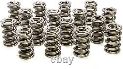 Fits 1.274 Drag Race Dual Valve Spring Set 16pk by Pac Racing Springs PAC-1333-1