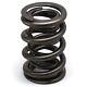 Pac Valve Spring Set Pac-1324-16 Drag Race Dual 275 Lbs @ 2.00 In. 1.625 In. Od